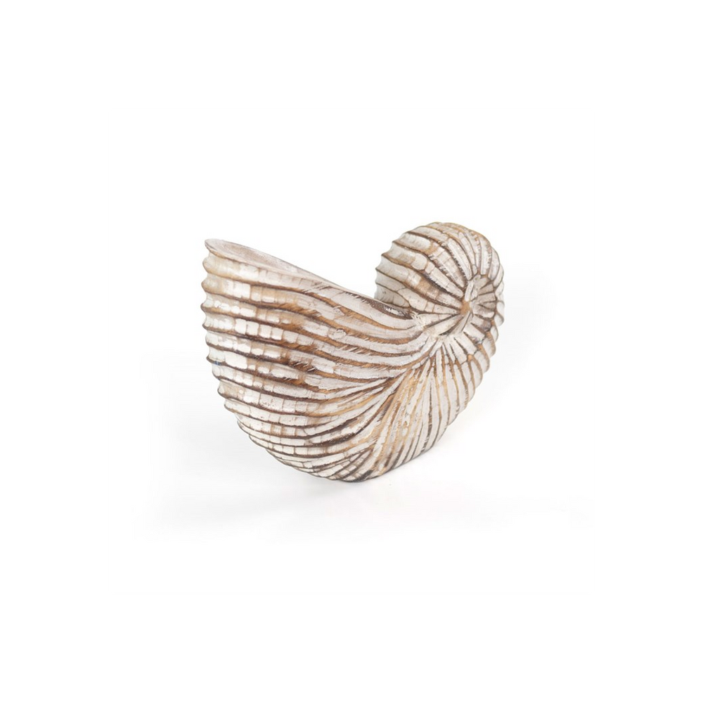 Whitewash Albasia Wood Shell Ornament