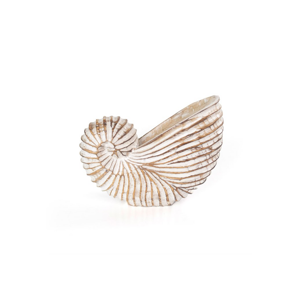 Whitewash Albasia Wood Shell Ornament