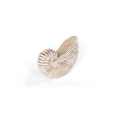 Whitewash Albasia Wood Shell Ornament